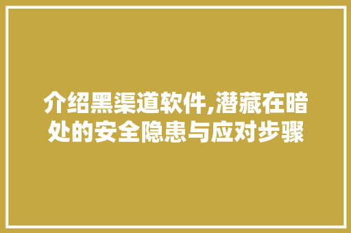 介绍黑渠道软件,潜藏在暗处的安全隐患与应对步骤 百度SEO