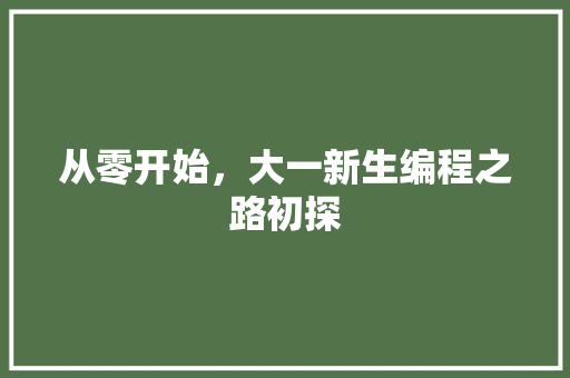 从零开始，大一新生编程之路初探 神马SEO