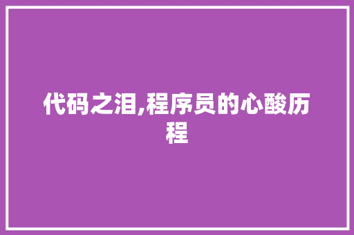 代码之泪,程序员的心酸历程 GoogleSEO