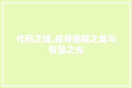 代码之魂,探寻编程之美与智慧之光 百度SEO