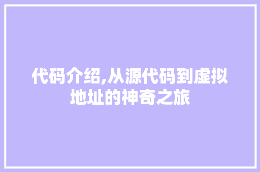 代码介绍,从源代码到虚拟地址的神奇之旅 必应SEO