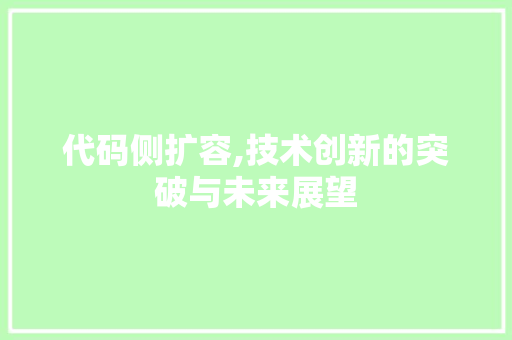 代码侧扩容,技术创新的突破与未来展望 百度SEO