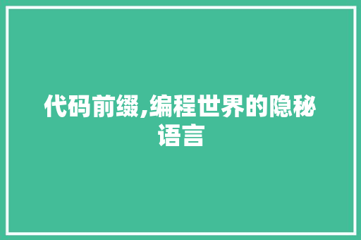 代码前缀,编程世界的隐秘语言