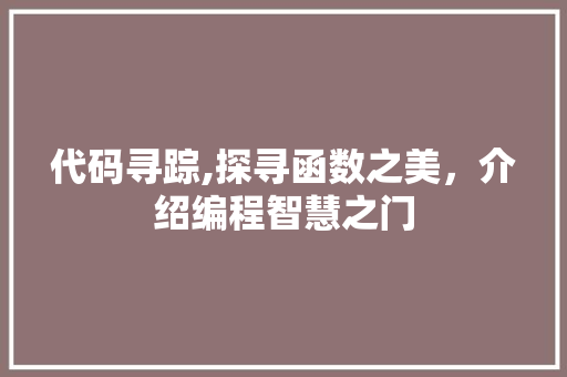 代码寻踪,探寻函数之美，介绍编程智慧之门 必应SEO