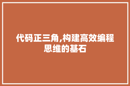 代码正三角,构建高效编程思维的基石 GoogleSEO