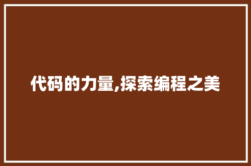 代码的力量,探索编程之美 必应SEO