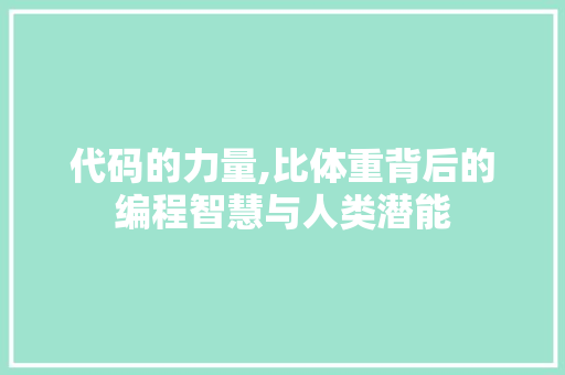 代码的力量,比体重背后的编程智慧与人类潜能 神马SEO