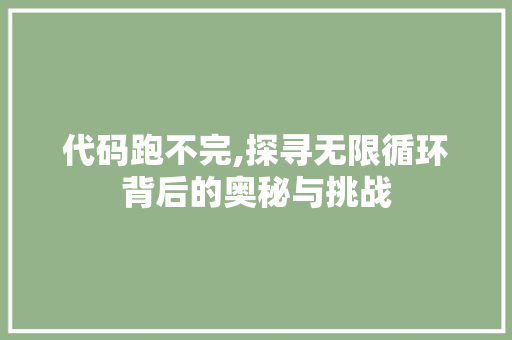 代码跑不完,探寻无限循环背后的奥秘与挑战 GoogleSEO