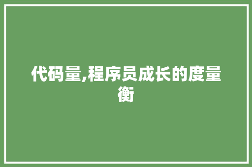 代码量,程序员成长的度量衡 必应SEO