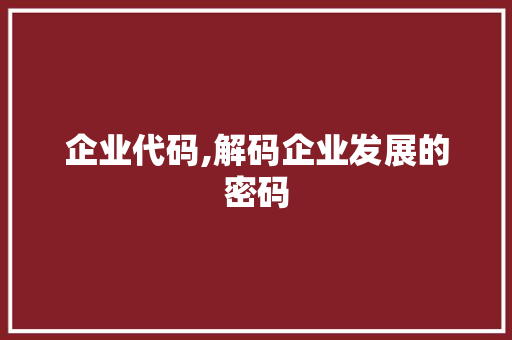 企业代码,解码企业发展的密码 GoogleSEO