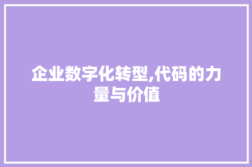 企业数字化转型,代码的力量与价值 GoogleSEO