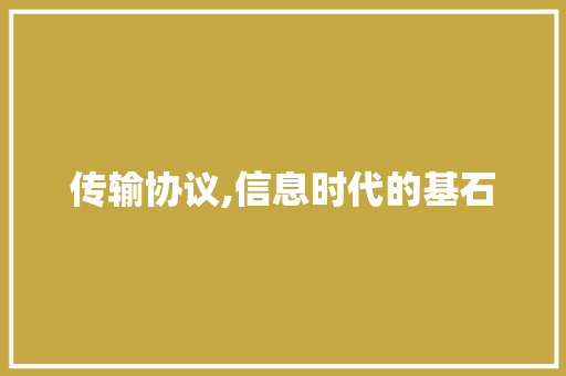 传输协议,信息时代的基石