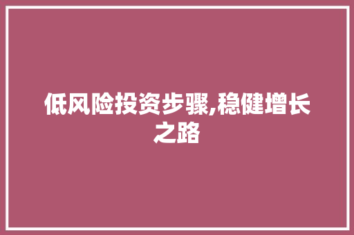 低风险投资步骤,稳健增长之路 神马SEO