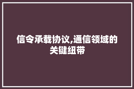 信令承载协议,通信领域的关键纽带