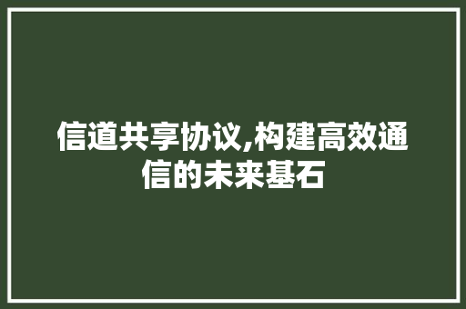 信道共享协议,构建高效通信的未来基石 搜狗SEO