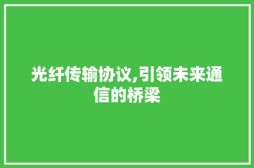 光纤传输协议,引领未来通信的桥梁
