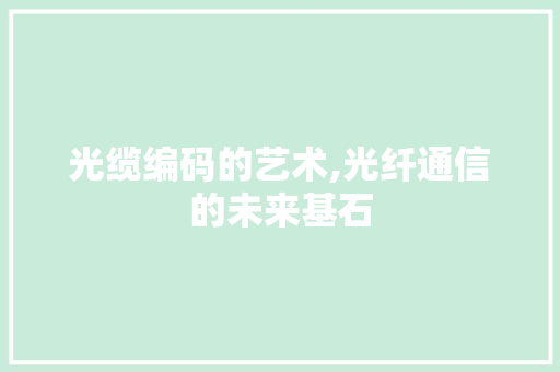 光缆编码的艺术,光纤通信的未来基石 GoogleSEO