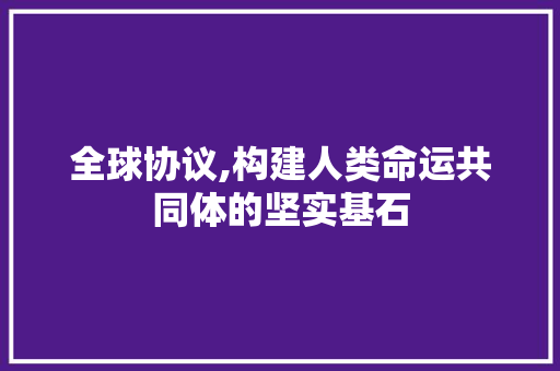 全球协议,构建人类命运共同体的坚实基石 神马SEO