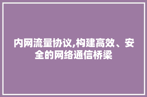内网流量协议,构建高效、安全的网络通信桥梁 必应SEO