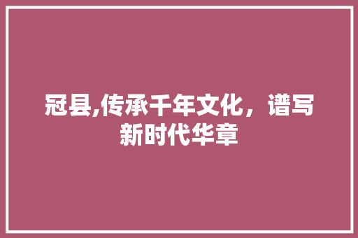 冠县,传承千年文化，谱写新时代华章 必应SEO