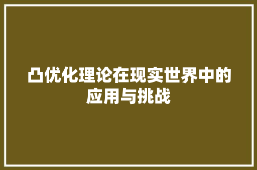 凸优化理论在现实世界中的应用与挑战 搜狗SEO
