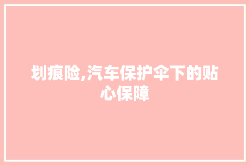 划痕险,汽车保护伞下的贴心保障 必应SEO