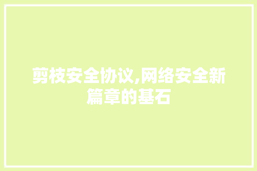 剪枝安全协议,网络安全新篇章的基石 必应SEO