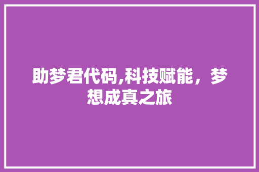 助梦君代码,科技赋能，梦想成真之旅 必应SEO