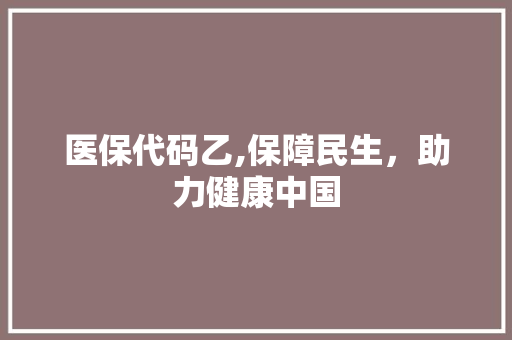 医保代码乙,保障民生，助力健康中国 神马SEO