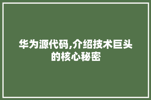 华为源代码,介绍技术巨头的核心秘密 GoogleSEO