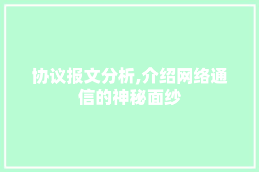 协议报文分析,介绍网络通信的神秘面纱 必应SEO