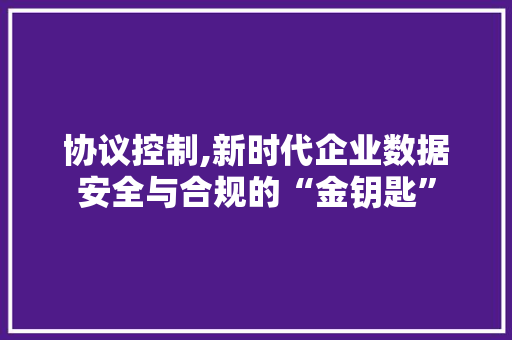 协议控制,新时代企业数据安全与合规的“金钥匙” 百度SEO