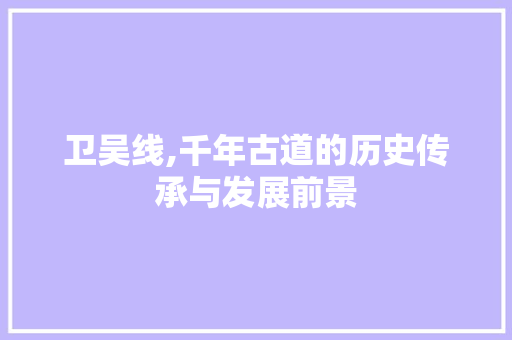 卫吴线,千年古道的历史传承与发展前景 神马SEO