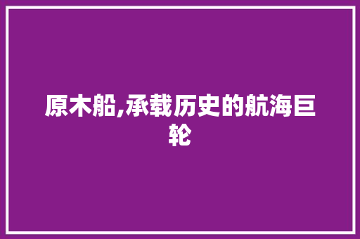 原木船,承载历史的航海巨轮 GoogleSEO