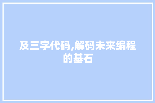 及三字代码,解码未来编程的基石 百度SEO