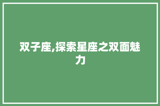 双子座,探索星座之双面魅力 必应SEO