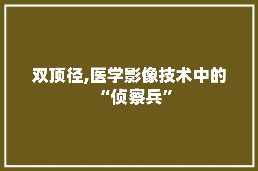双顶径,医学影像技术中的“侦察兵” GoogleSEO