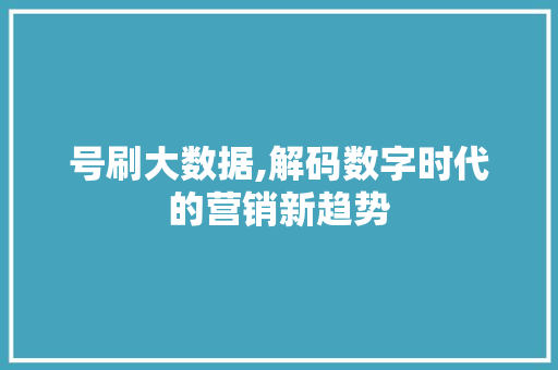 号刷大数据,解码数字时代的营销新趋势 神马SEO