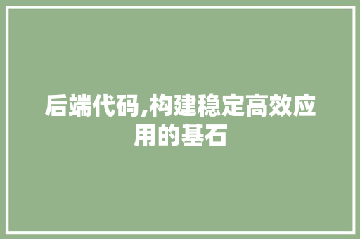 后端代码,构建稳定高效应用的基石 神马SEO