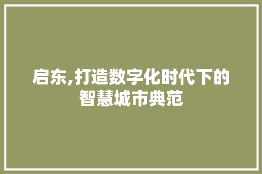 启东,打造数字化时代下的智慧城市典范 GoogleSEO