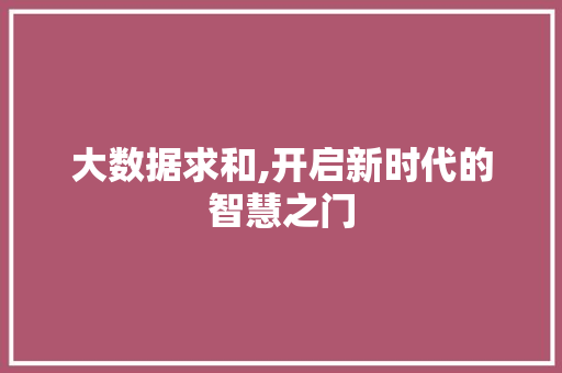 大数据求和,开启新时代的智慧之门