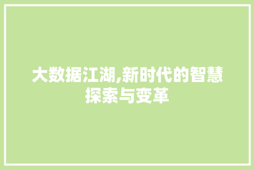 大数据江湖,新时代的智慧探索与变革