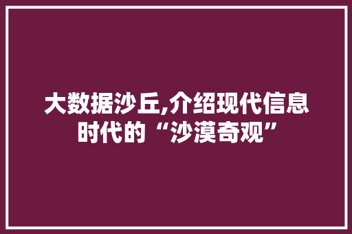 大数据沙丘,介绍现代信息时代的“沙漠奇观”