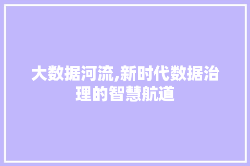 大数据河流,新时代数据治理的智慧航道 必应SEO
