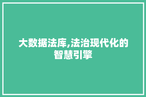 大数据法库,法治现代化的智慧引擎