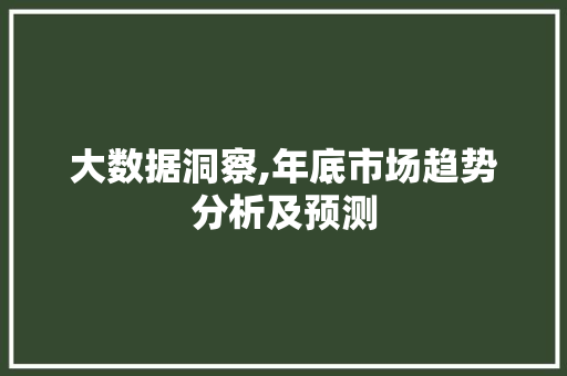 大数据洞察,年底市场趋势分析及预测
