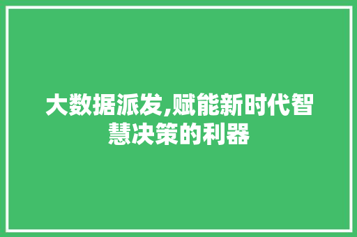 大数据派发,赋能新时代智慧决策的利器