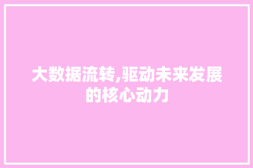 大数据流转,驱动未来发展的核心动力