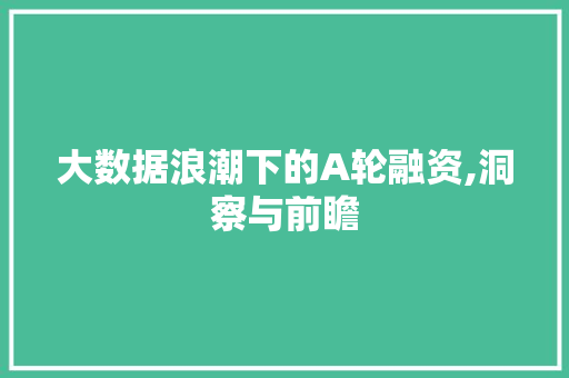 大数据浪潮下的A轮融资,洞察与前瞻