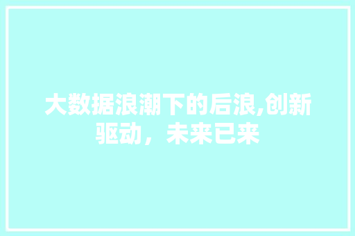 大数据浪潮下的后浪,创新驱动，未来已来 百度SEO